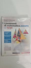 Ottmo libro  Lineamenti matematica.azzurro vol. 1