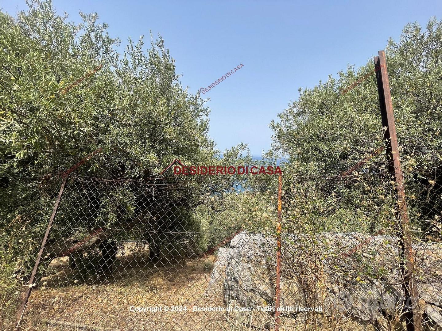 Terreno, Cefalù. - Vista 4