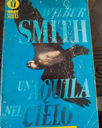 libro narrativa " Un'aquila in cielo"