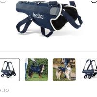 Corpetto per cani post intervento