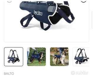 Corpetto per cani post intervento