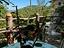 Immagine 11