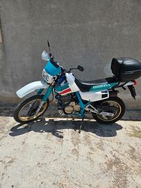 honda dominator 650