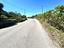Immagine 24
