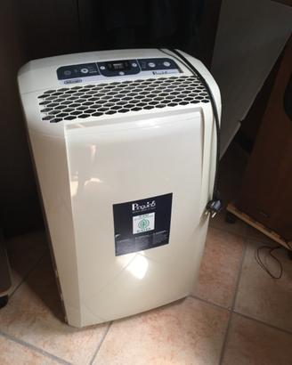 Pinguino De Longhi silent portatile pac cn92