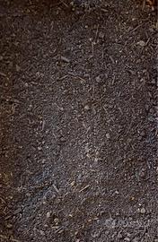 Ammendante compostato verde