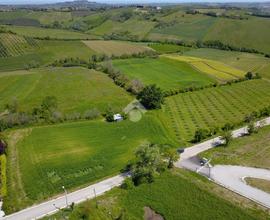 TER. AGRICOLO A RIMINI