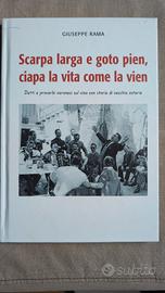 Libro di proverbi veronesi