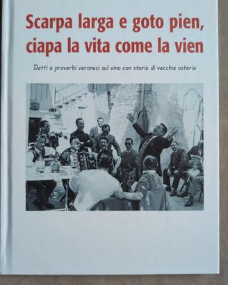 Libro di proverbi veronesi