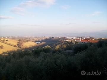 Rustico con terreno