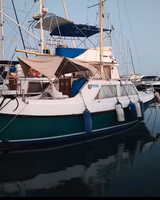 barca a motore 
