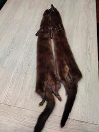 Stola visone 