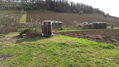 Terreno a Macerata - Periferia