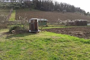 Terreno a Macerata - Periferia