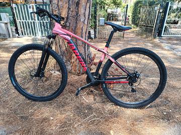 Bicicletta MTB Brera Koban "29 disc 21 velocità 