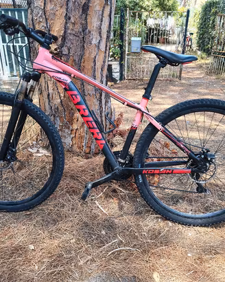 Bicicletta MTB Brera Koban "29 disc 21 velocità 