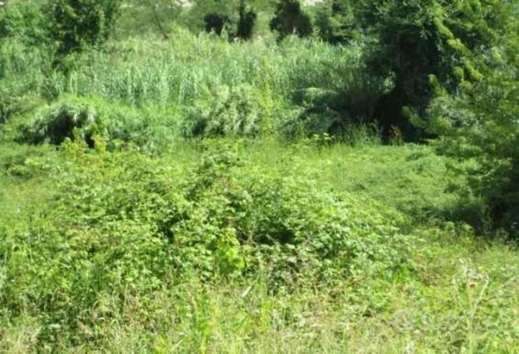 Immobile in asta di 5368 m² a Castelplanio - Vista 2