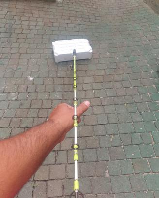 canna traina vitality  6/12