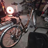 bici elettrica