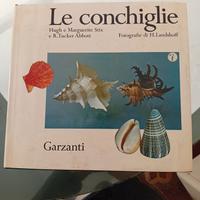 INTERESSANTE VOLUME SU "LE CONCHIGLIE"