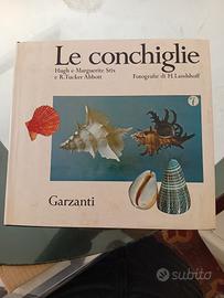 INTERESSANTE VOLUME SU "LE CONCHIGLIE"