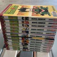 Hunter x Hunter / Manga - Fumetti