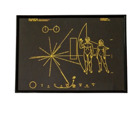 Poster Pioneer Plaque Neon