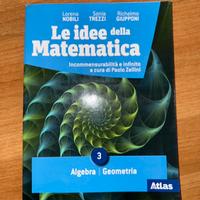 libro di testo le idee della matematica
