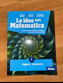 libro di testo le idee della matematica