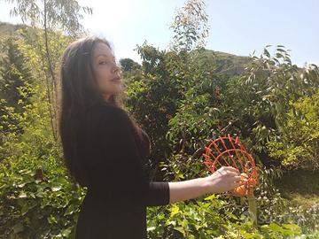 Cesto raccogli frutta