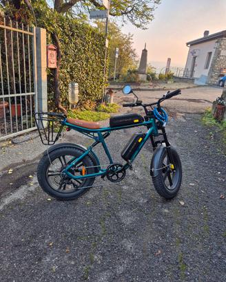 Bici elettrica. 