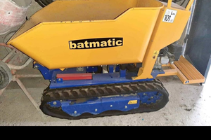 Motocariola cingolata