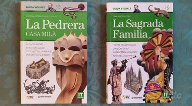 architetto Gaudi - libri Pedrera e Sagrada Familia