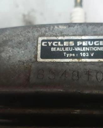 Motore Peugeot completo 