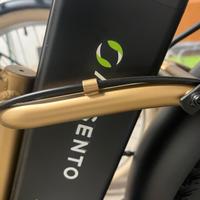 Bicicletta elettrica