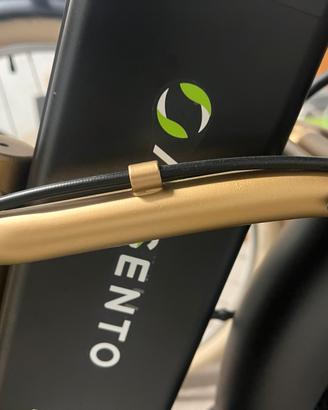 Bicicletta elettrica
