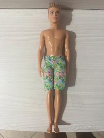 Ken surfista