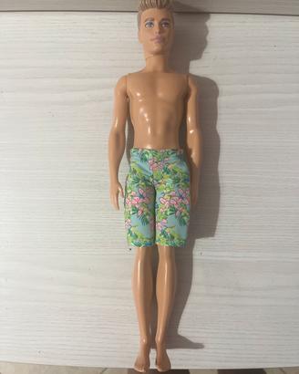 Ken surfista