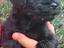 Immagine 4