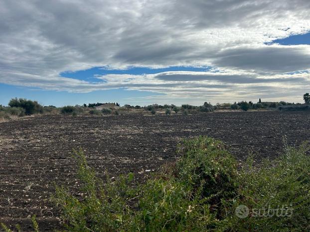 Agricolo a Siracusa - CIRCUITO - CIANE