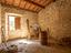 Immagine 11