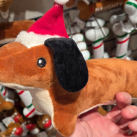 Bassotto a pelo corto