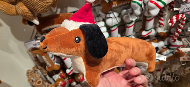 Bassotto a pelo corto