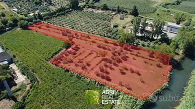 Terreno agricolo 1 HA fronte strada vicino Ninfa