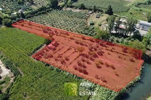 Terreno agricolo 1 HA fronte strada vicino Ninfa