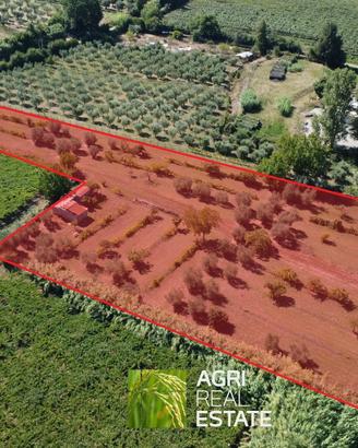 Terreno agricolo 1 HA fronte strada vicino Ninfa