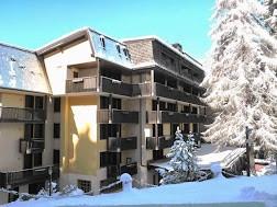 Appartamento in madonna di campiglio in multi prop