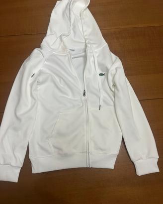 felpa lacoste