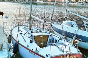 Barca a vela cabinato 7,5m
