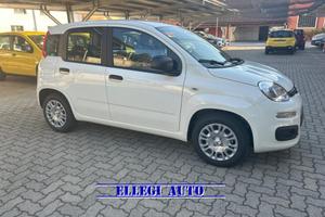FIAT Panda 1.0 HYBRID 5 POSTI +PACK CITY KM 0